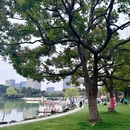 上海旅游 缩略图 16