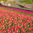 上海旅游 缩略图 5