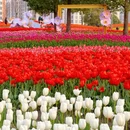 上海旅游 缩略图 2