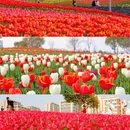 上海旅游 缩略图 4