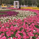武汉旅游 缩略图 6