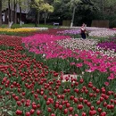 武汉旅游 缩略图 11