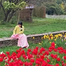 武汉旅游 缩略图 12
