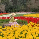 武汉旅游 缩略图 8