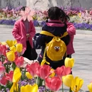 上海旅游 缩略图 4