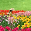 武汉旅游 缩略图 4