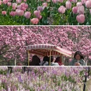 上海旅游 缩略图 1