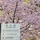 上海旅游 缩略图 3