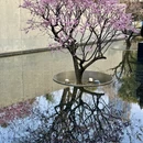 上海旅游 缩略图 5
