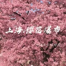 上海旅游 缩略图 1