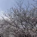 上海旅游 缩略图 8