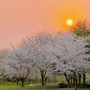 上海旅游 缩略图 7