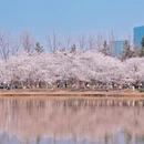 上海旅游 缩略图 8