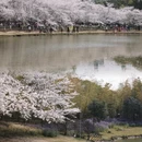 上海旅游 缩略图 9