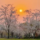 上海旅游 缩略图 4