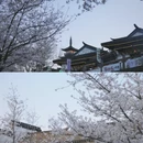 上海旅游 缩略图 17