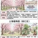 上海旅游 缩略图 1