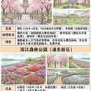 上海旅游 缩略图 4