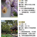 上海旅游 缩略图 6