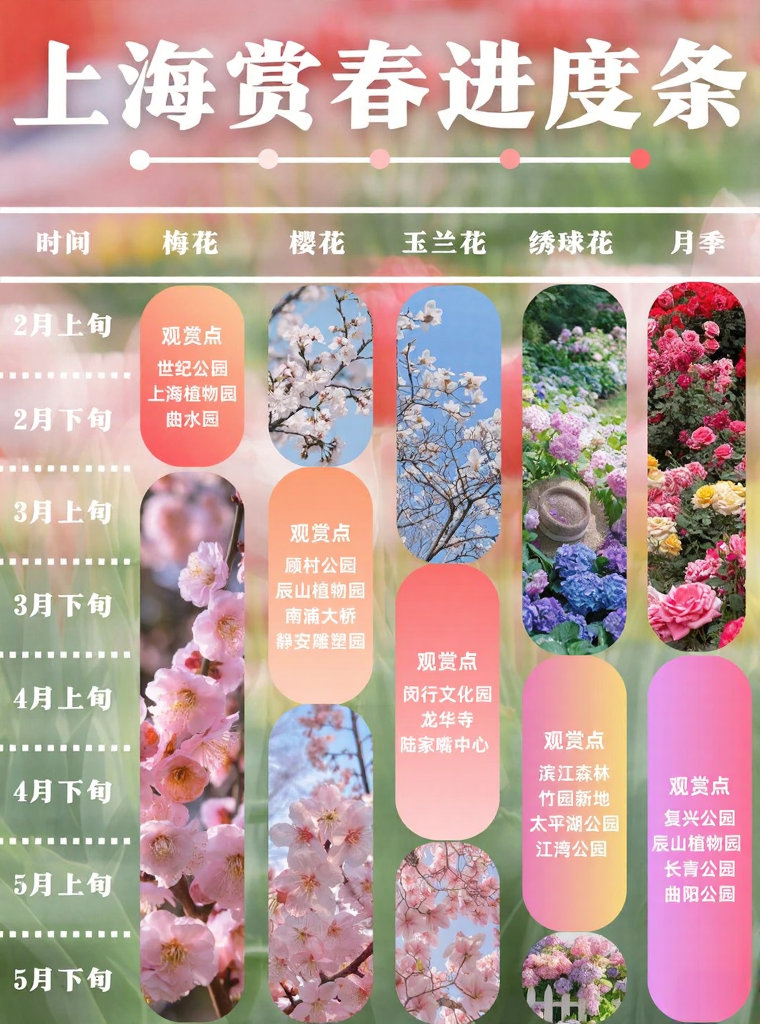 上海旅游
