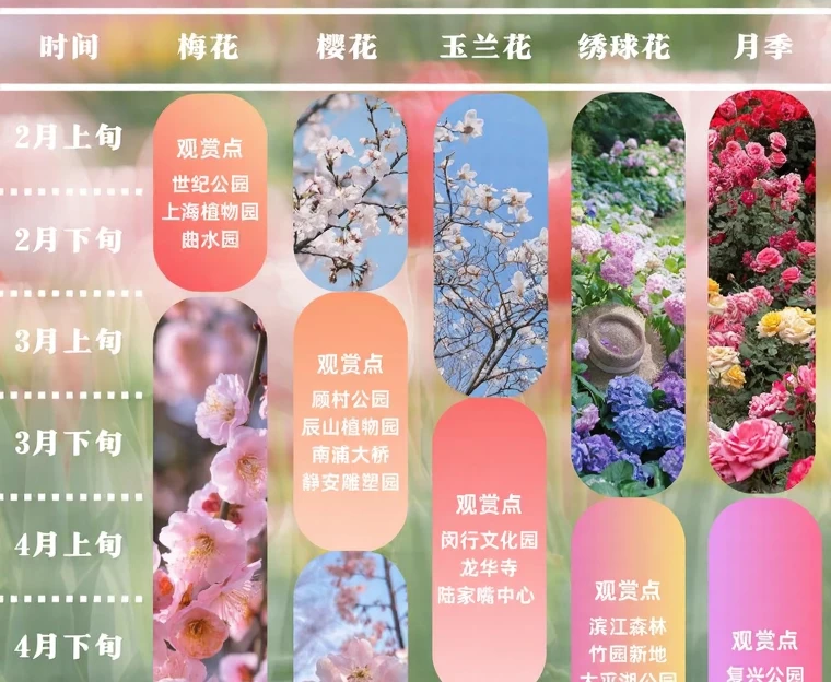 上海旅游 1
