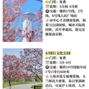 上海旅游 缩略图 4