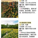 上海旅游 缩略图 7
