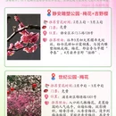 上海旅游 缩略图 3