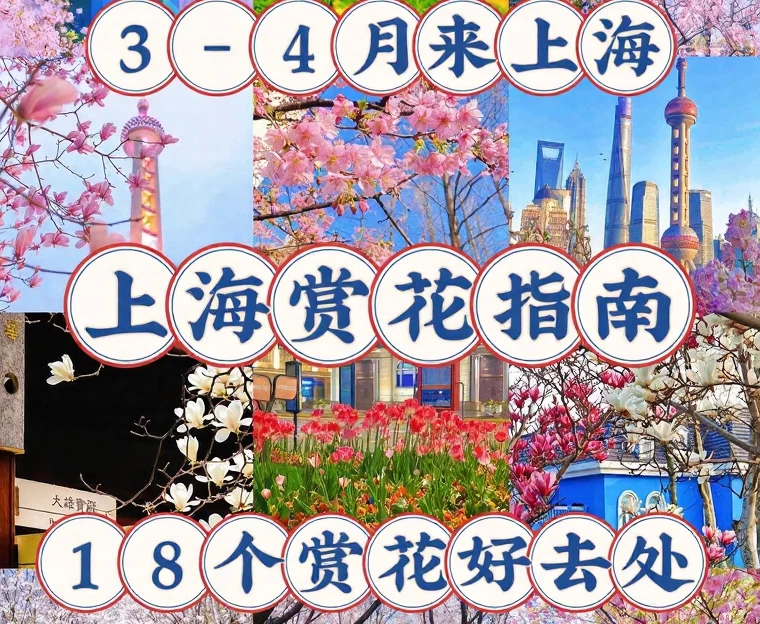 上海旅游 1