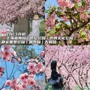 上海旅游 缩略图 8