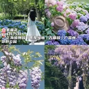 上海旅游 缩略图 9