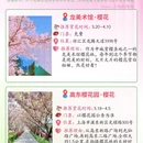 上海旅游 缩略图 4