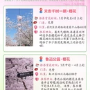 上海旅游 缩略图 8