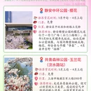 上海旅游 缩略图 6