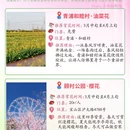 上海旅游 缩略图 9