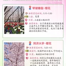 上海旅游 缩略图 10