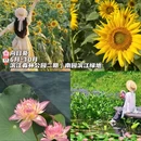 上海旅游 缩略图 10