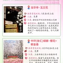 上海旅游 缩略图 5