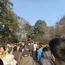 杭州旅游 缩略图 16