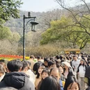杭州旅游 缩略图 15
