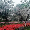杭州旅游 缩略图 9