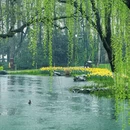 杭州旅游 缩略图 6