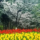 杭州旅游 缩略图 10