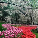 杭州旅游 缩略图 4