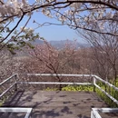 杭州旅游 缩略图 3