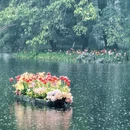 杭州旅游 缩略图 18