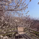 杭州旅游 缩略图 9