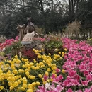 杭州旅游 缩略图 10