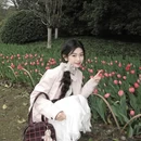 杭州旅游 缩略图 3