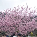 杭州旅游 缩略图 6